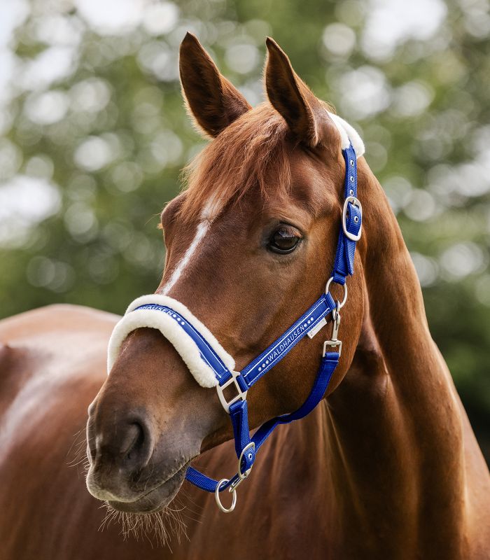 Elegantní ohlávka s beránkem a kamínky