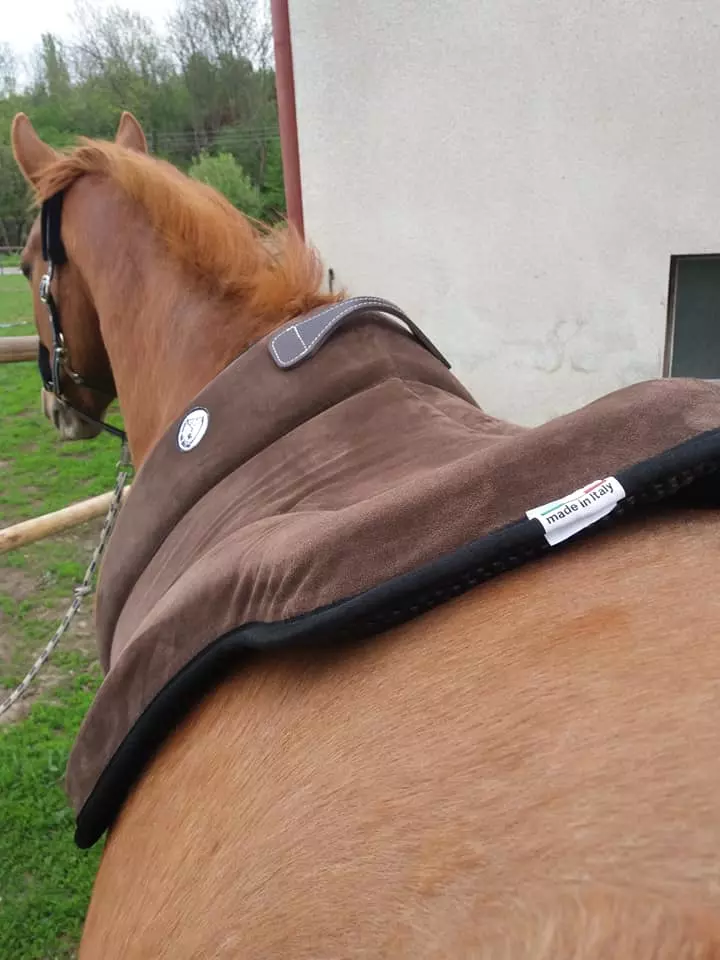 PŮJČOVNA Jezdecký pad Brockamp® včetně podbřišníku ZKUŠEBNÍ