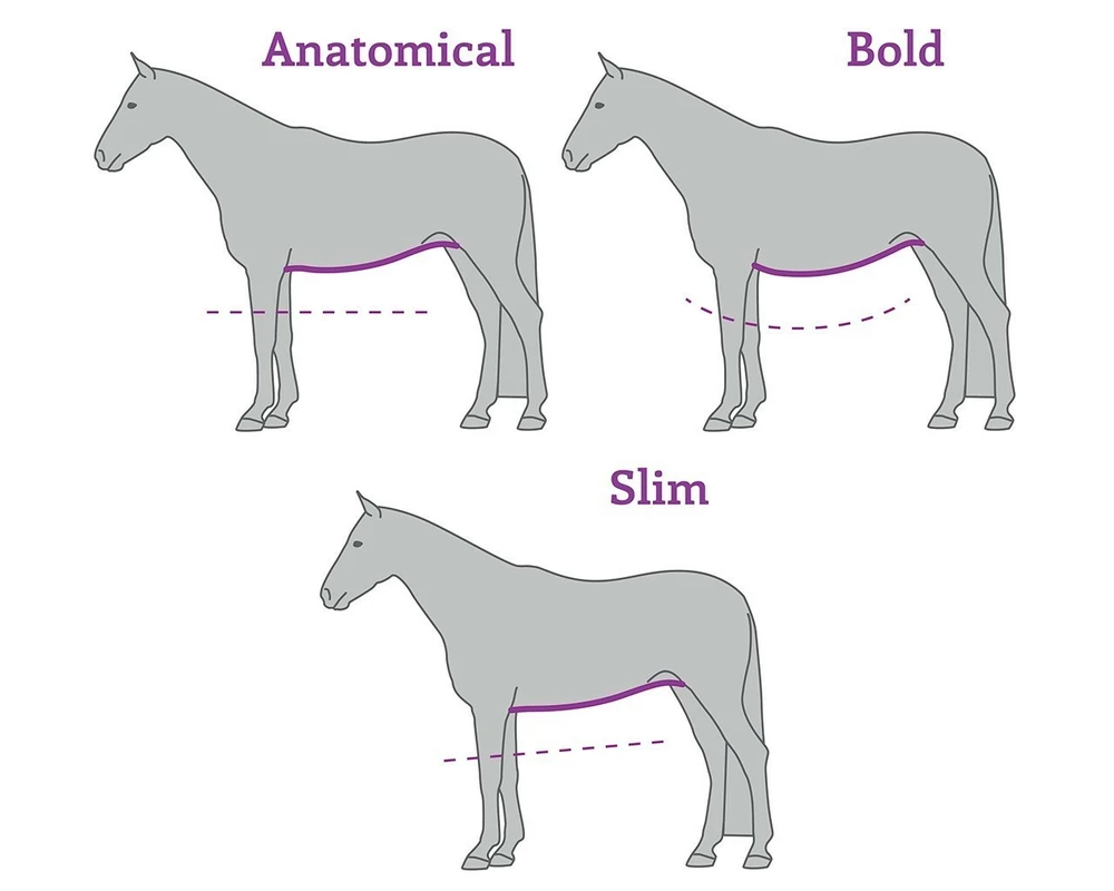 Drezúrní kožený podbřišník Anatomical