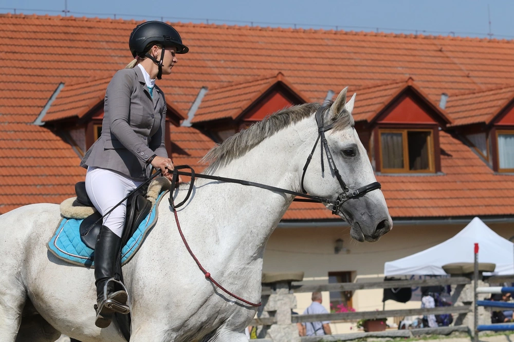 Hackamore nánosník F.R.A. Calli včetně ramen