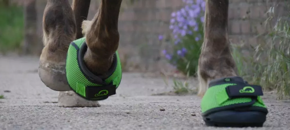 Boty pro koně Cavallo Trek Green pár
