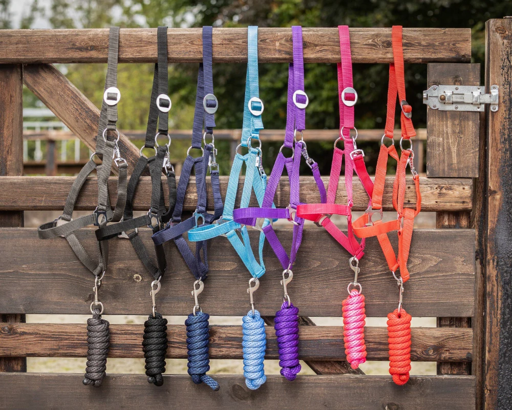 SADA ohlávka s vodítkem 