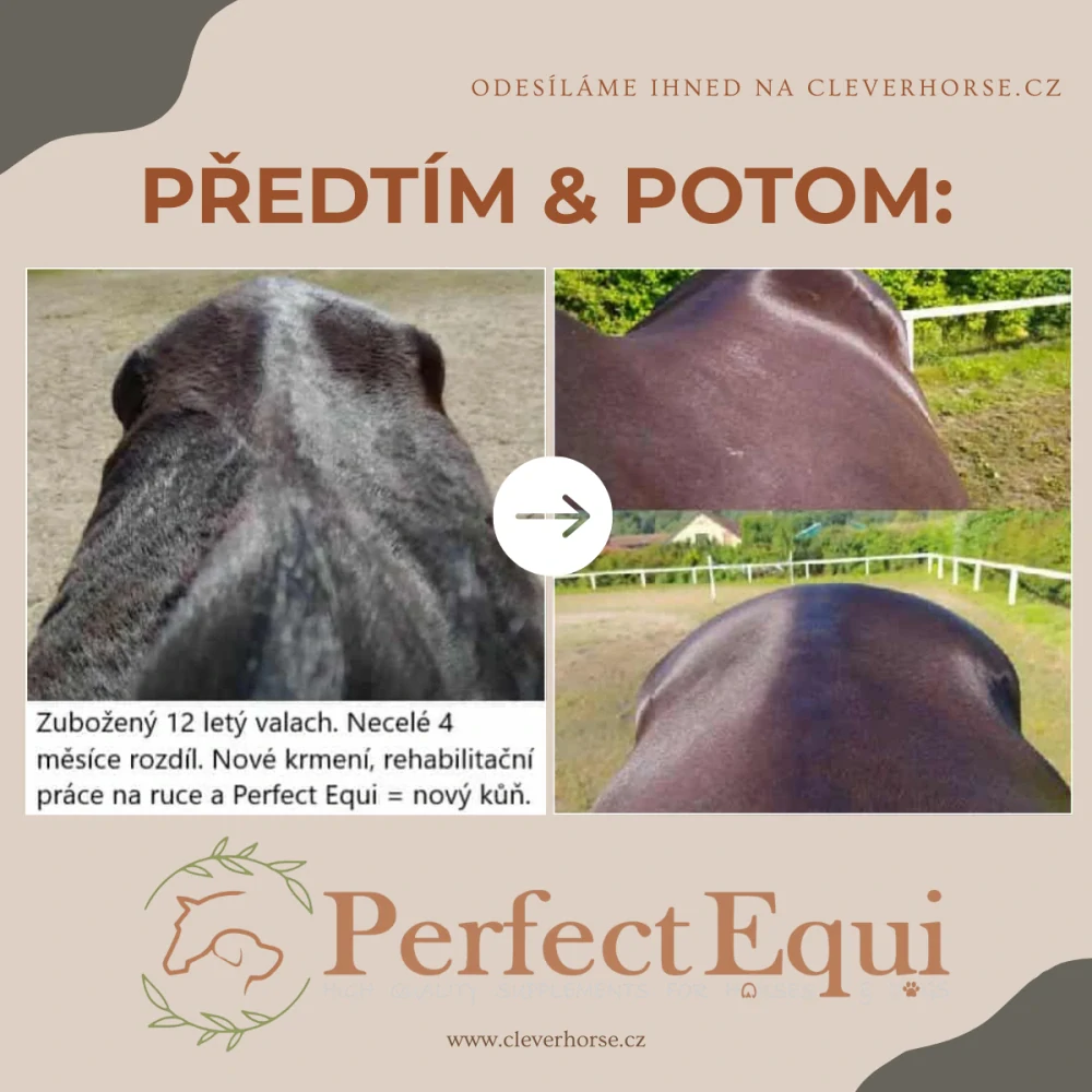 Perfect Equi Complete+ 9kg