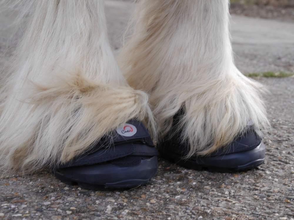 Boty pro koně Cavallo Big Foot pár