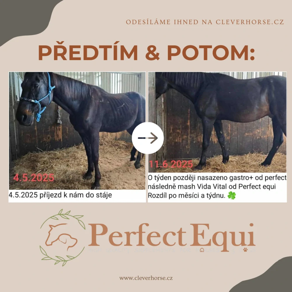 Perfect Equi granulované Vida Vital 14,5 kg