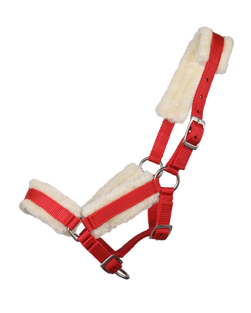 Hříběcí beránková ohlávka