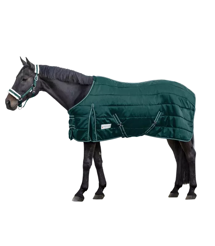 Stájová deka Economic 200g