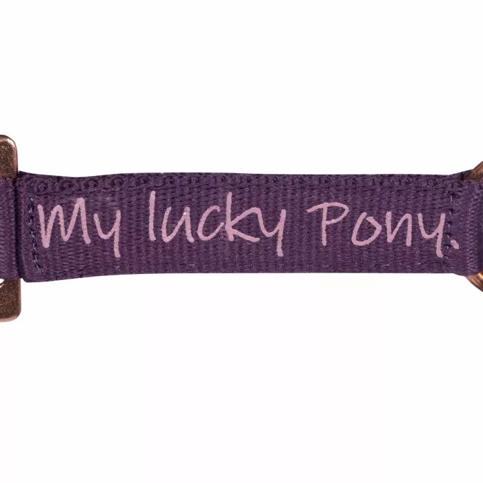 Pony ohlávka Alva 