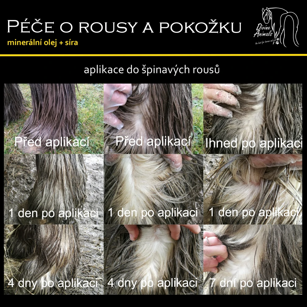 Péče o rousy a pokožku Divine animals 2l