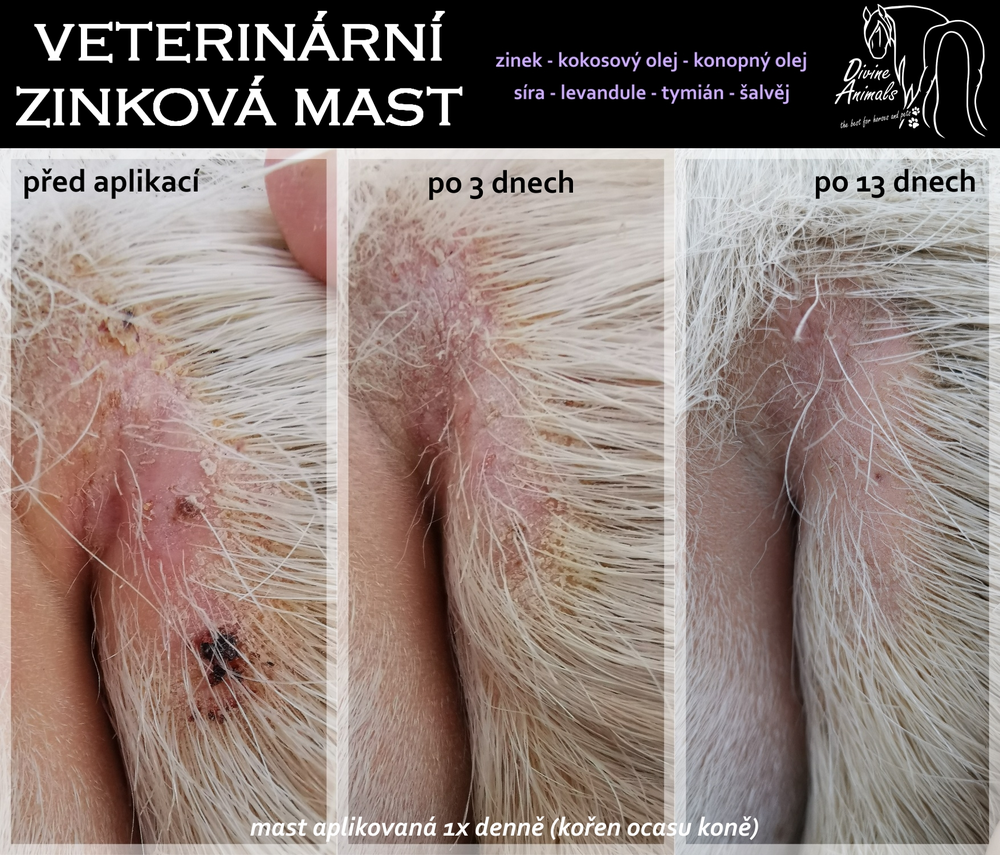 Veterinární zinková mast Divine animals 100ml