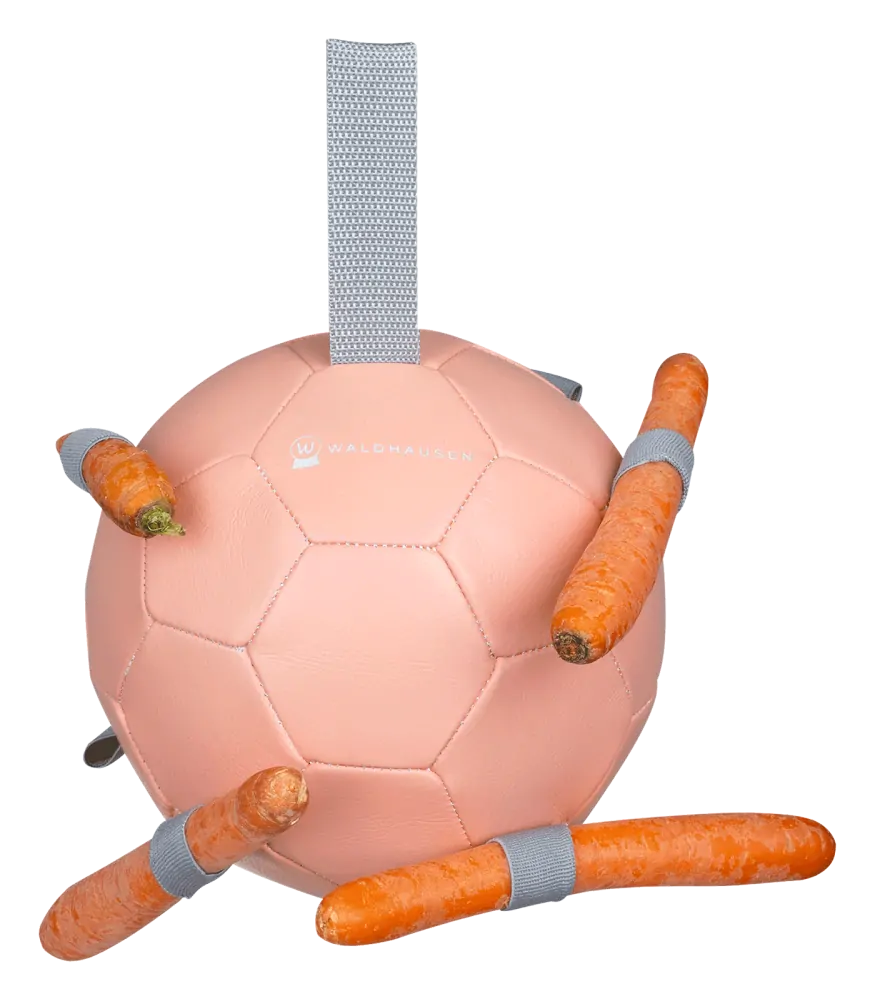 Pevný hrací míč na mrkve