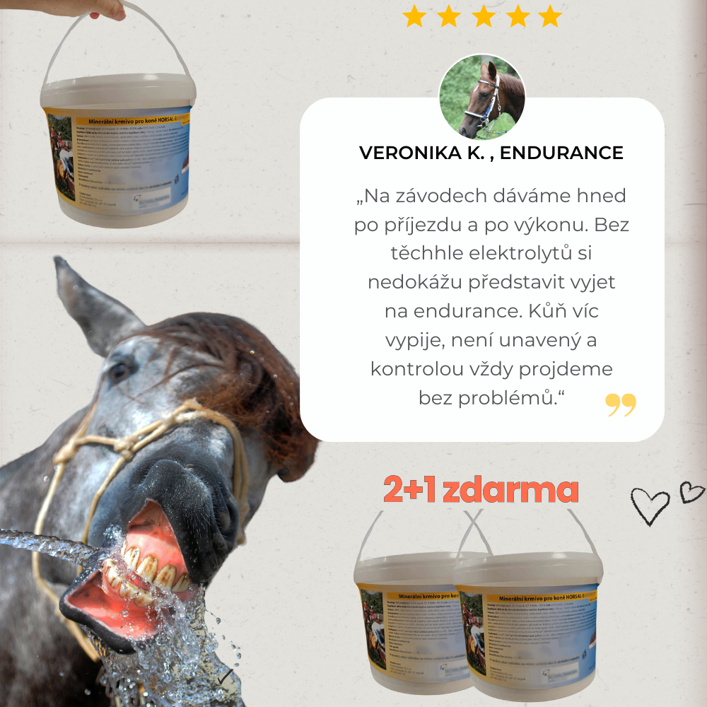 Elektrolyty pro koně prášek 2+1 kg ZDARMA