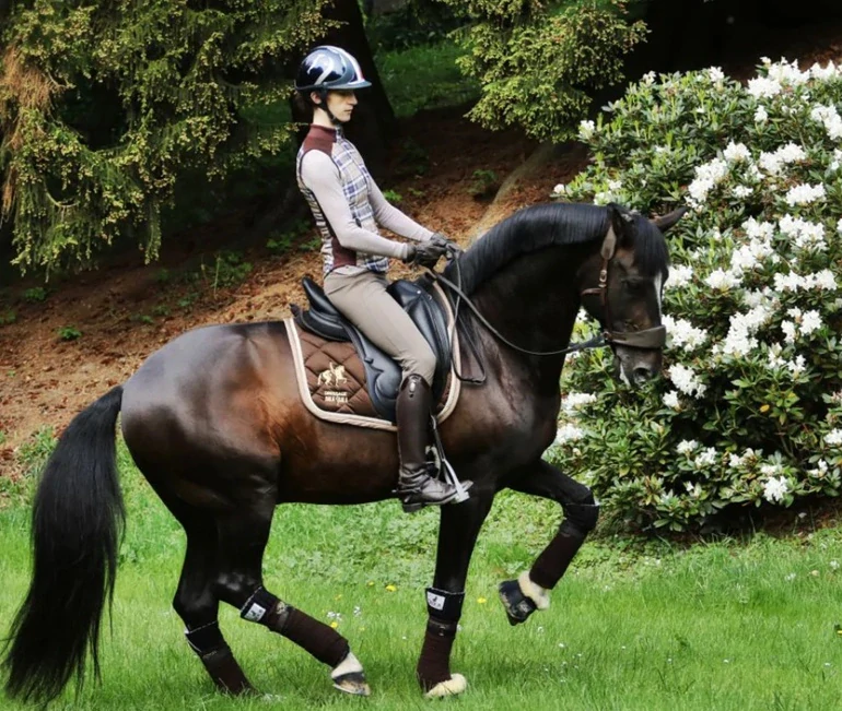 Equimero uzdečka Equitrense® Vario