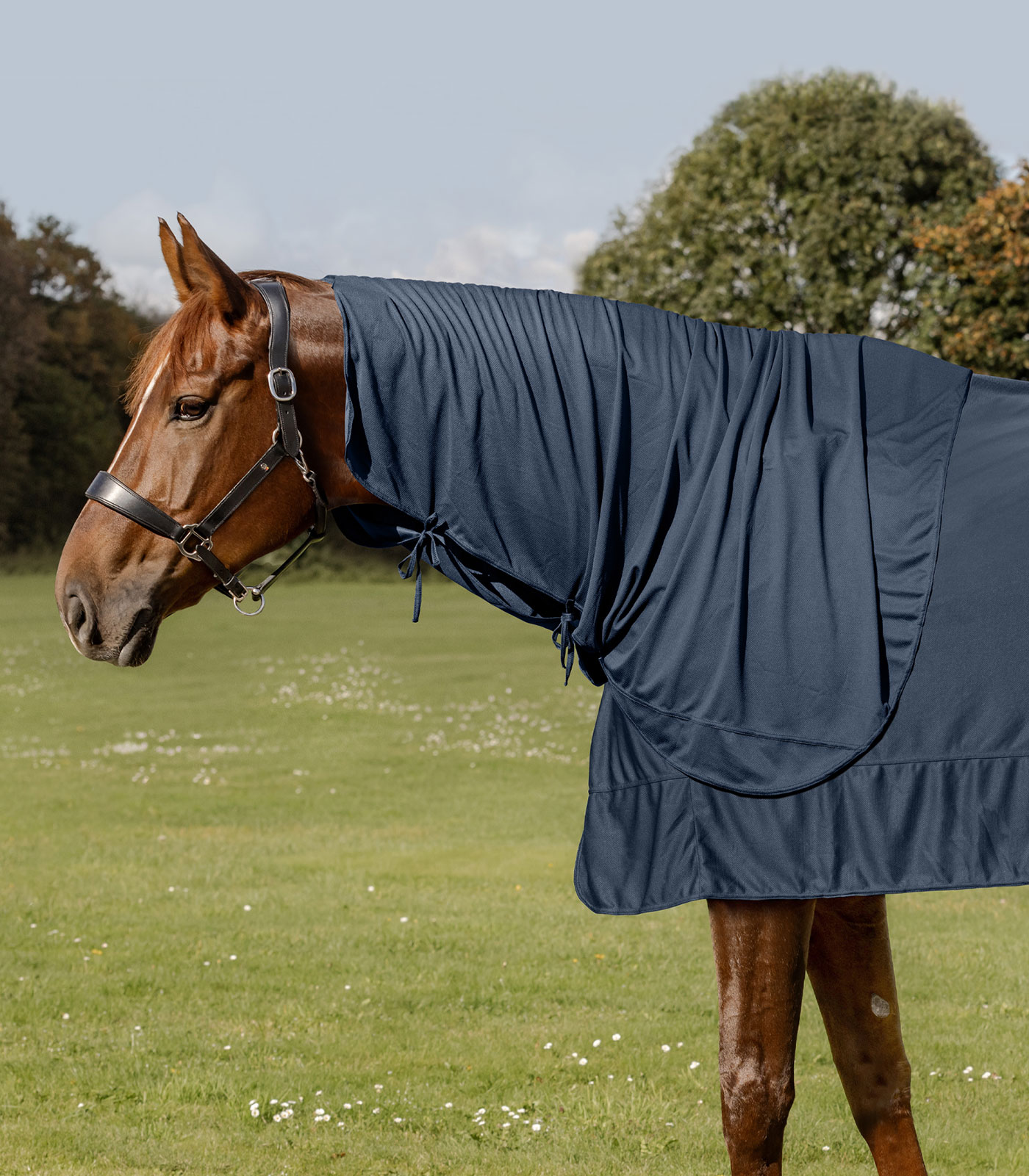 Krční díl k dece W-health & care Ice Layer