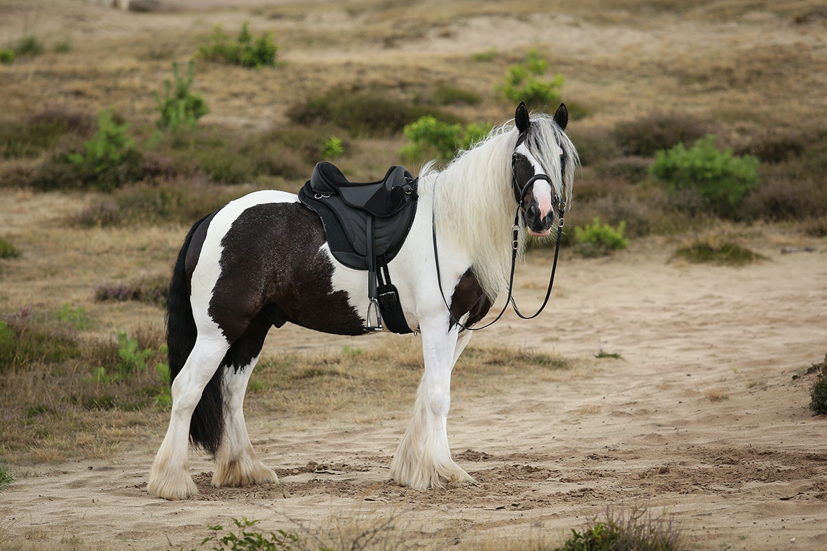 Bezkostrové sedlo Just Adjust Barefoot®