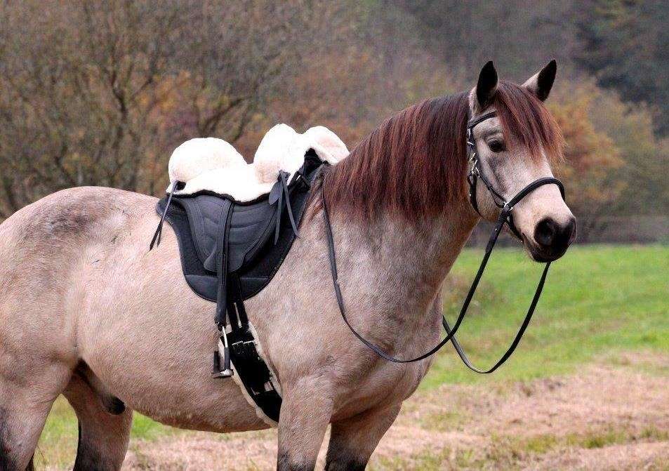 Bezkostrové beránkové sedlo Barefoot® Soft Walk