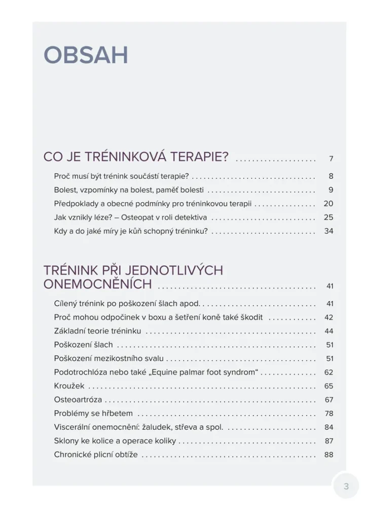 Tréninková terapie