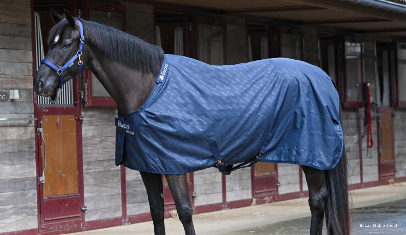 Bucas Liner zateplená deka 300g pod výběhovky