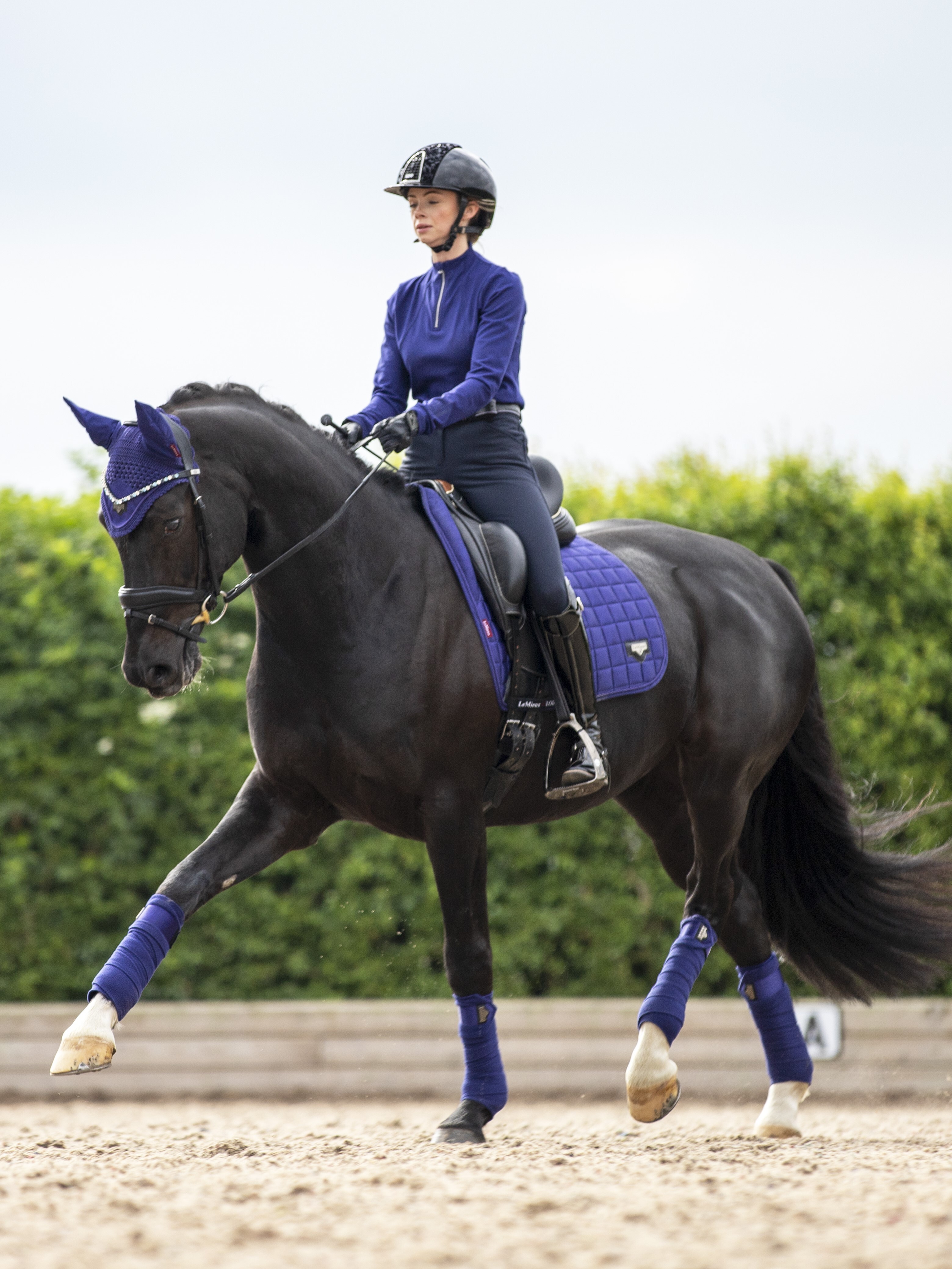 Podsedlová dečka LEMIEUX Loire Classic Dressage Square Ink Blue