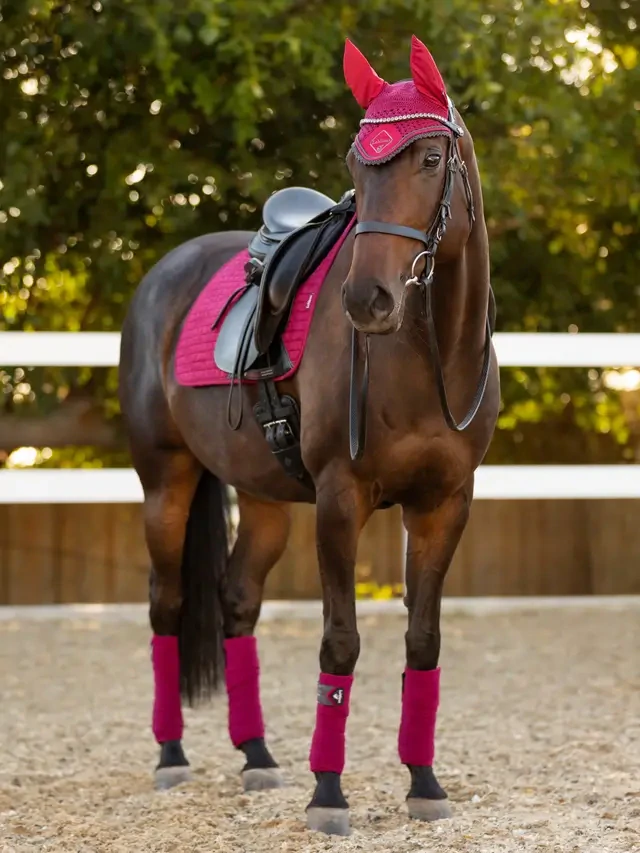 Podsedlová dečka LEMIEUX Suede Dressage Mulberry