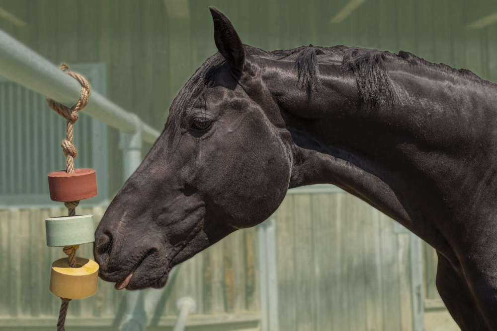 Zdravé lízátko pro koně Lolly Lick šípek 750g