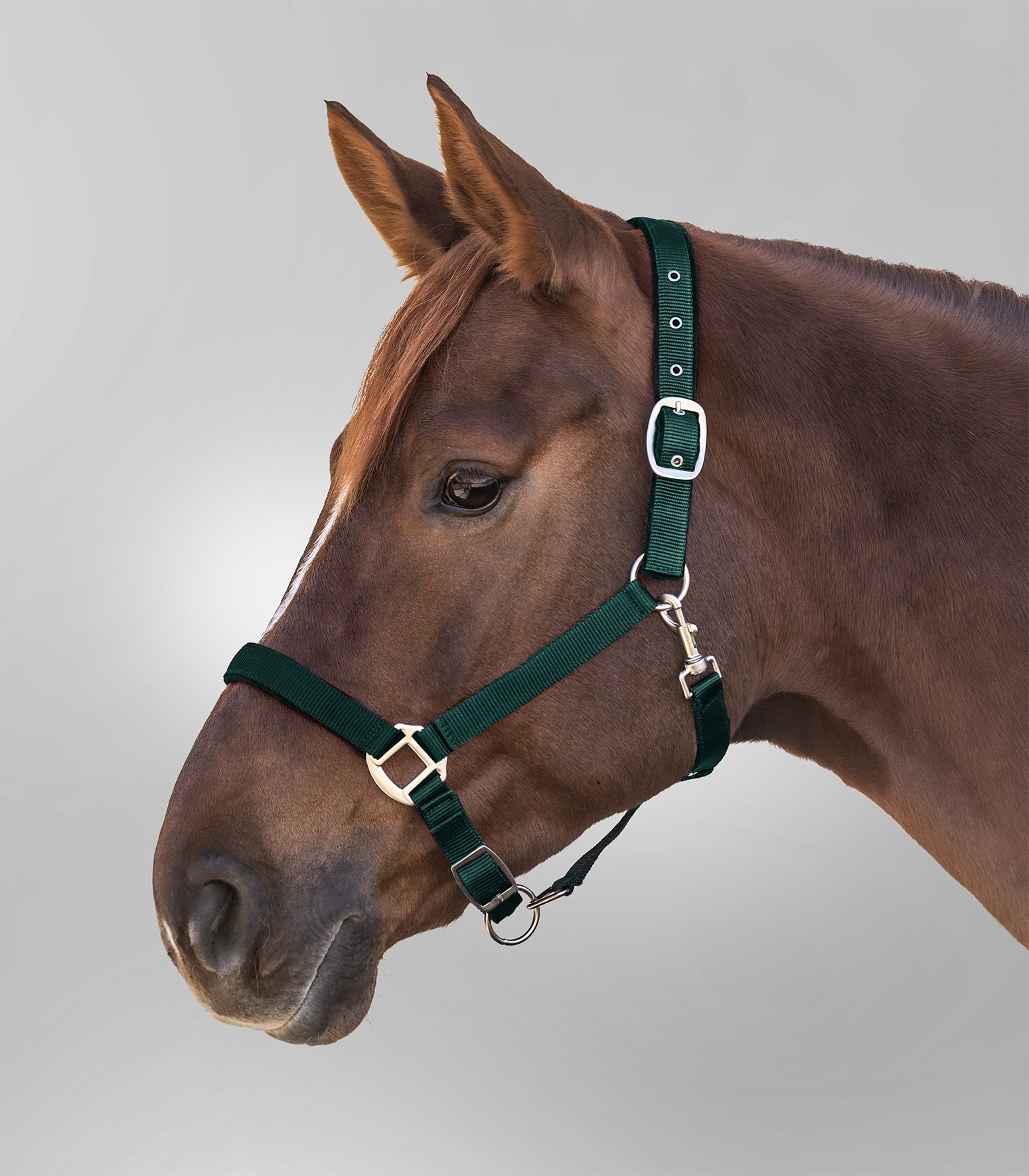 Ohlávka Satin Waldhausen