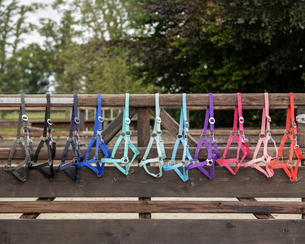 SADA ohlávka s vodítkem 