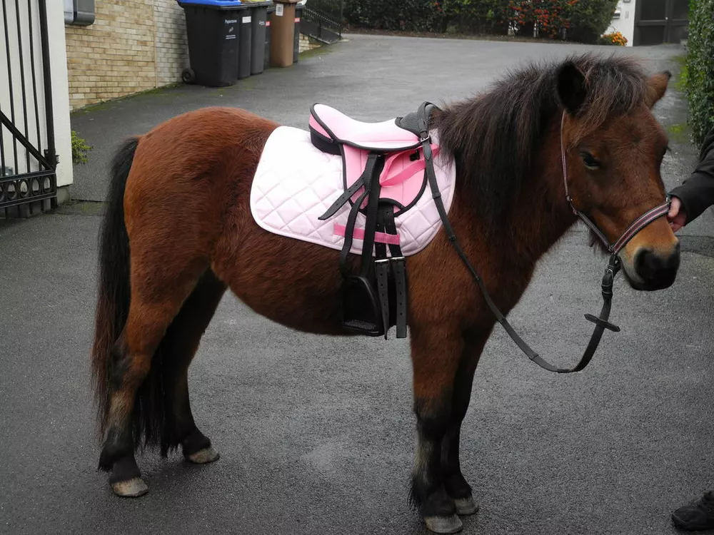 SET kompletní sedlo pro děti 12´