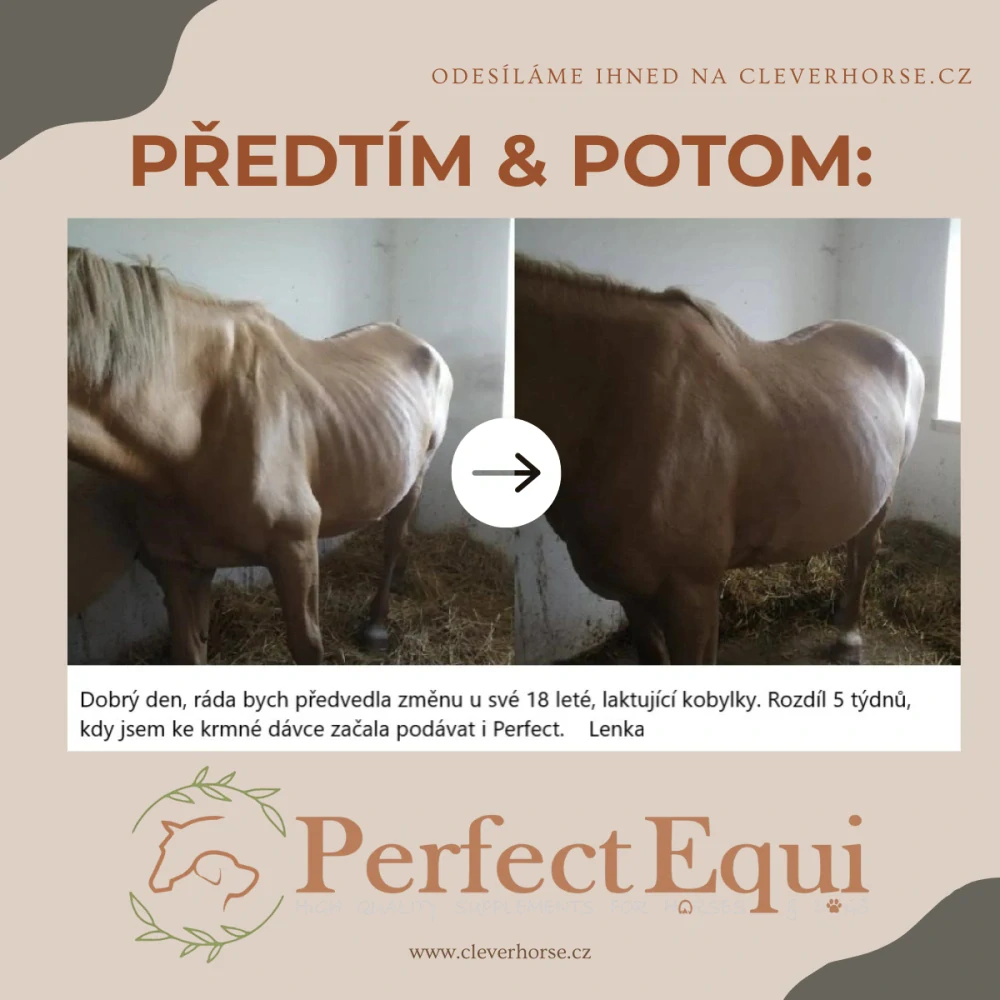 Perfect Equi Complete+ 9kg pytel