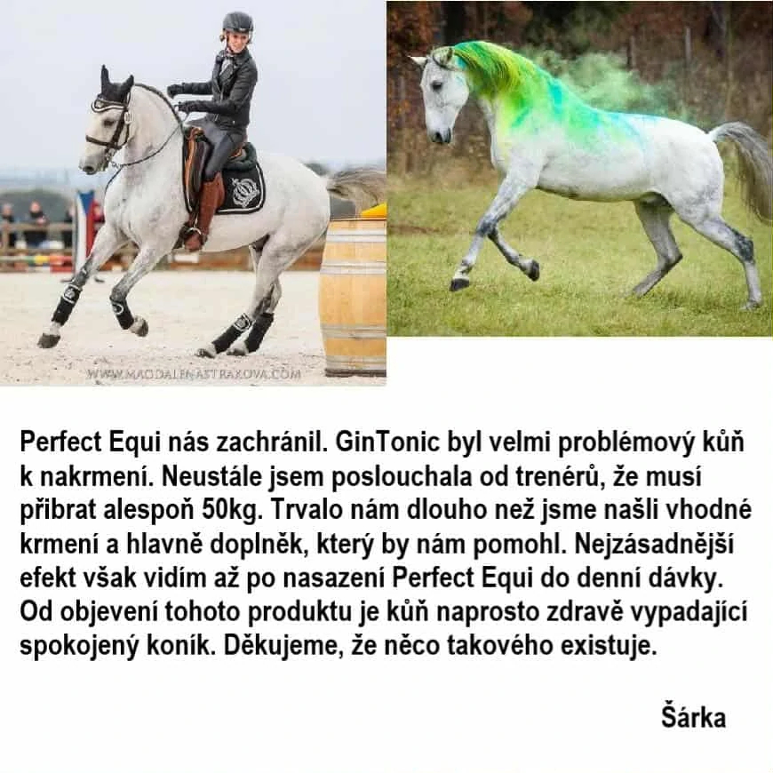 Perfect Equi granulované Vida Vital 14,5 kg
