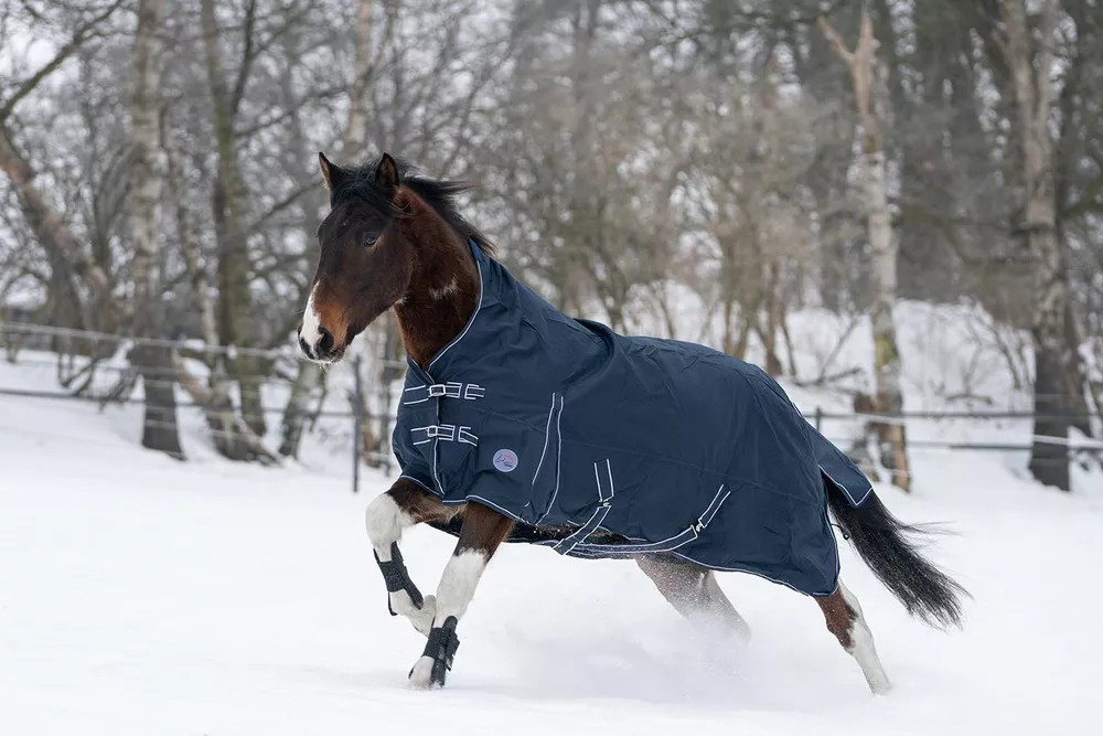 Výběhová deka highneck Starter 600D, 300g