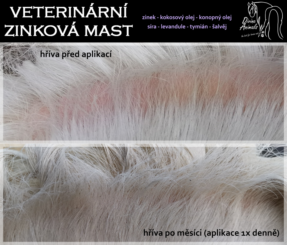Veterinární zinková mast Divine animals 250ml 