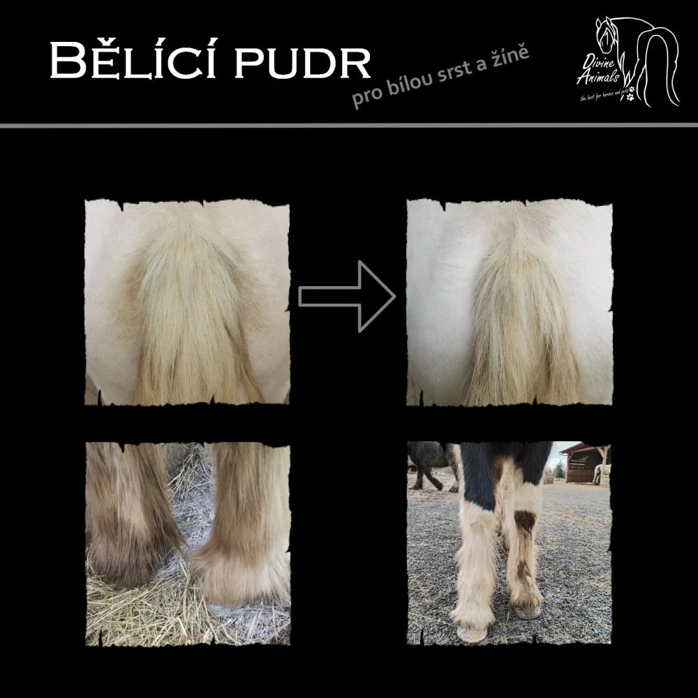 Bělící pudr pro bílou srst a žíně 1kg