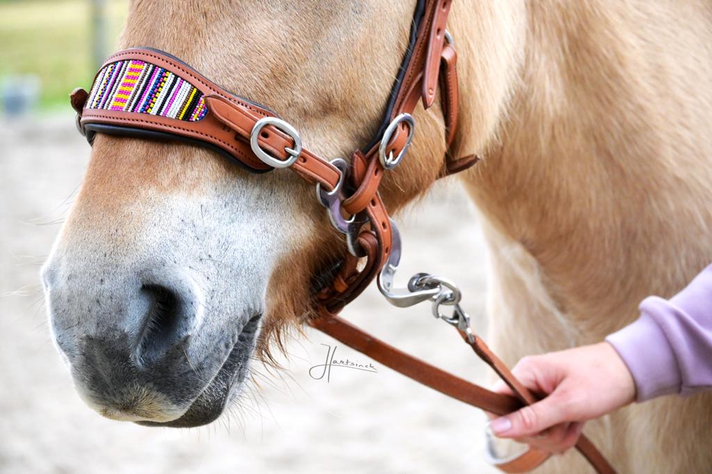 Hackamore uzdečka Edix Brightstar