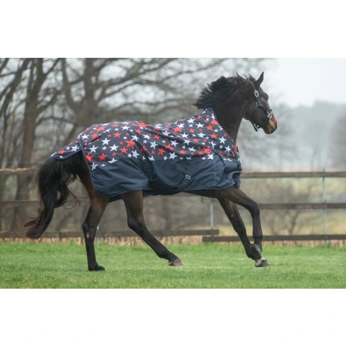 Výběhová deka Norwich, zvýšený krk, 100g