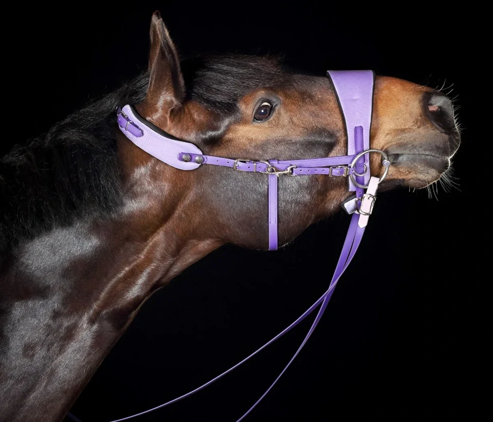 Equimero uzdečka Equitrense® Vario