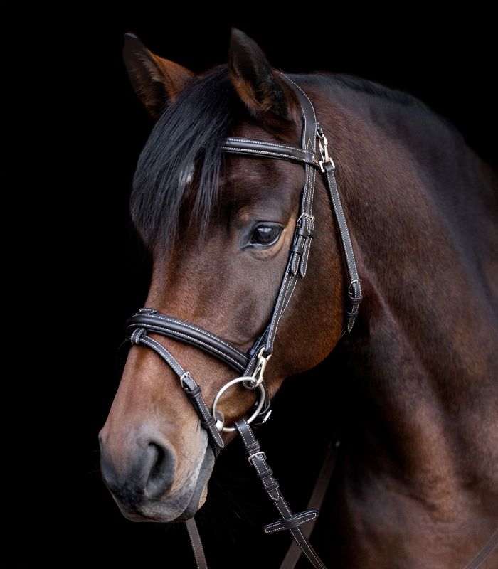 Uzdečka Waldhausen X-Line Work 