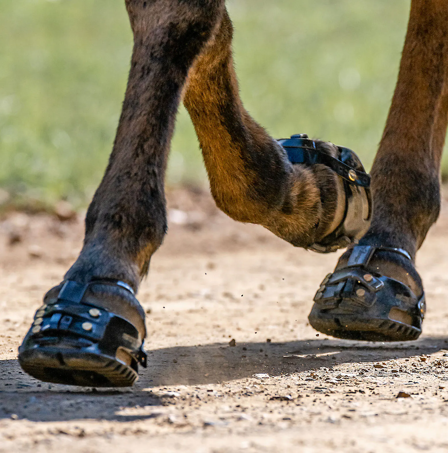 Boty bro koně Scootboot Adjust (Enduro) - 2kusy