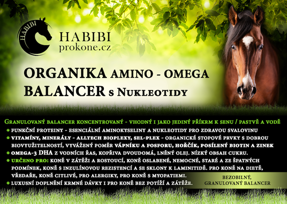 ORGANIKA amino-omega BALANCER s Nukleotidy 7 kg kbelík 35 dní