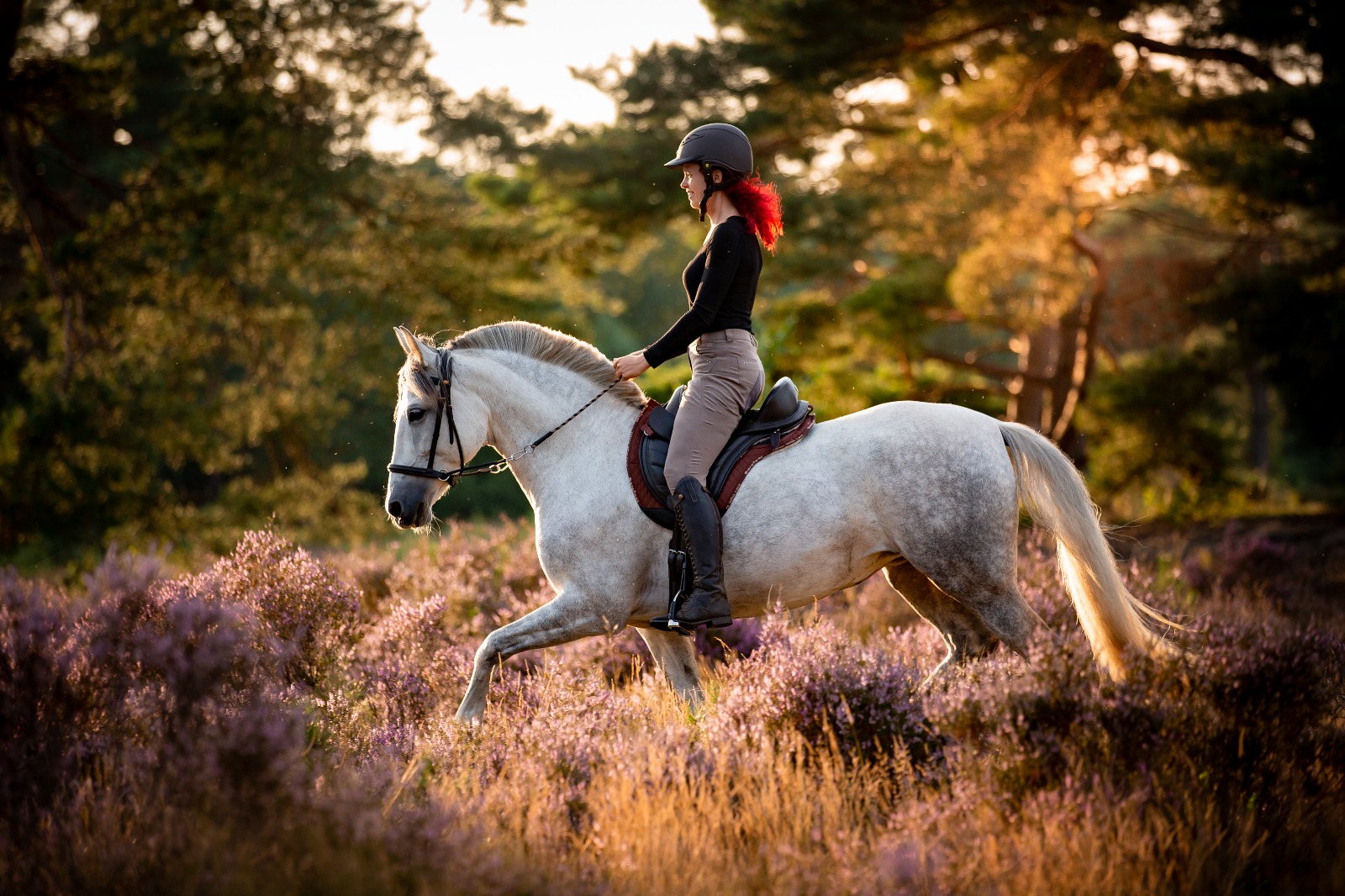 Bezkostrové sedlo Cheyenne Barefoot®