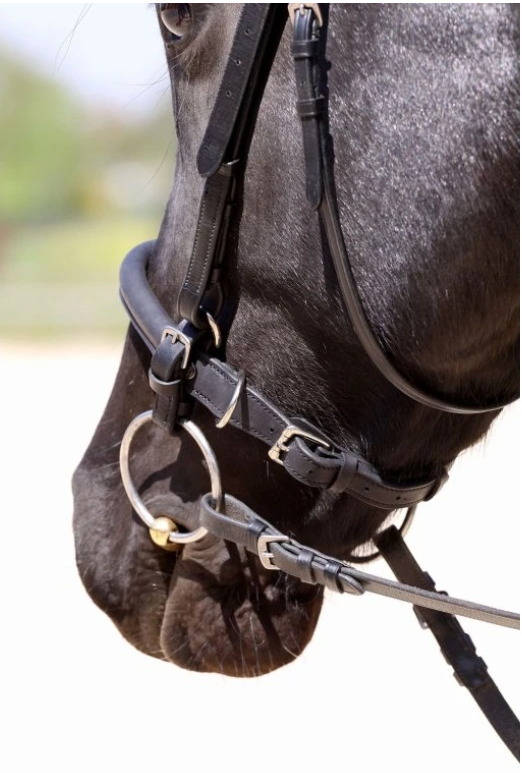 Barefoot udidlové řemínky