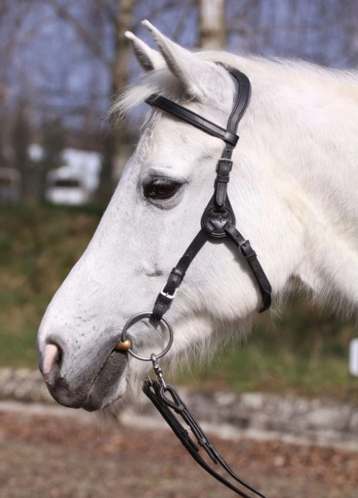 Multifunkční uzdečka Barefoot® Contour Physio