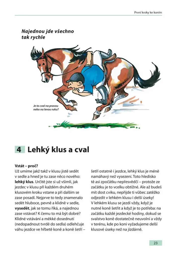 Kniha o koních pro mladé jezdce