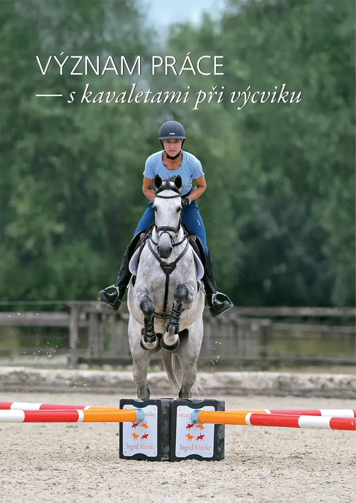 Kavalety
