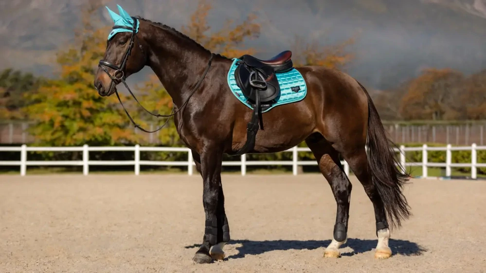 Podsedlová dečka LEMIEUX Loire Close Contact Azure