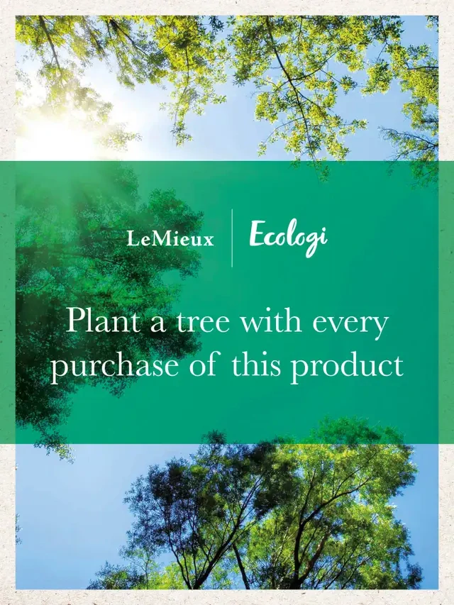 Podsedlová dečka LEMIEUX Earth GP skoková modrá