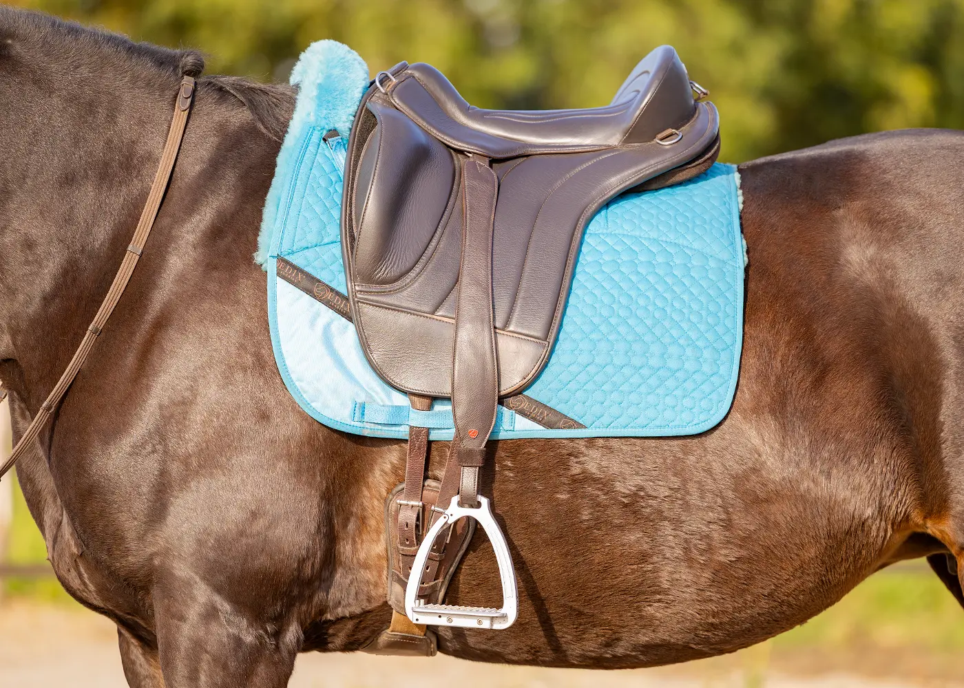 Třmenové řemeny Edix Mono široké