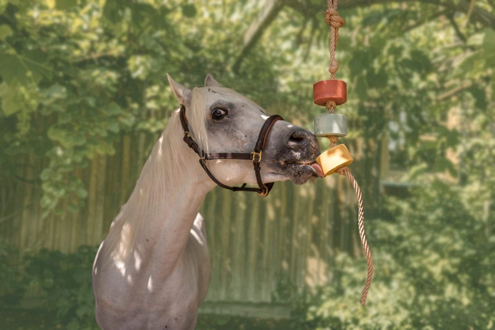 Zdravé lízátko pro koně Lolly Lick šípek 750g