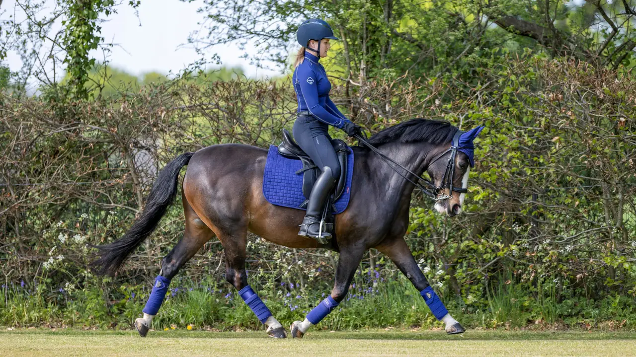 Podsedlová dečka LEMIEUX Suede Dressage Navy