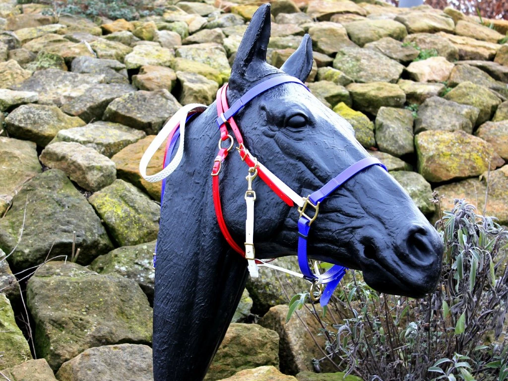 Uzdečka Endurance s ohlávkou